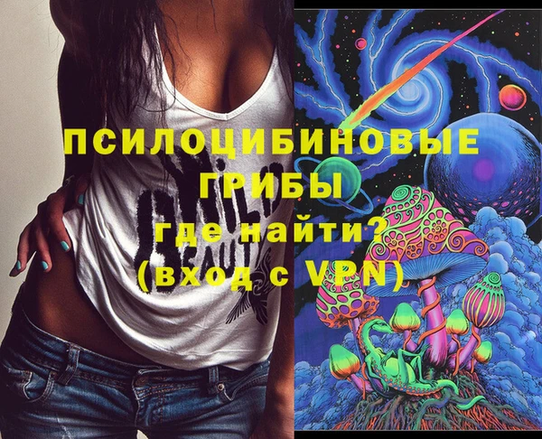 ПСИЛОЦИБИНОВЫЕ ГРИБЫ Осташков