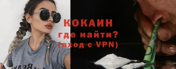 мдпв Осинники