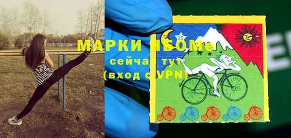 мдпв Осинники