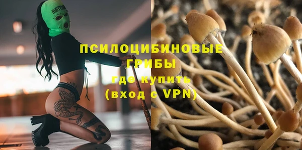 mdpv Остров
