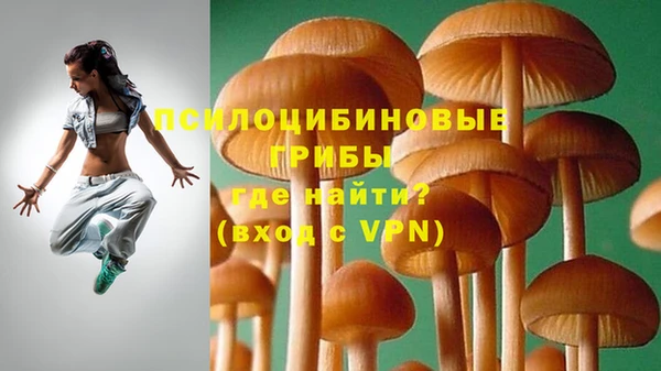 крисы Нязепетровск