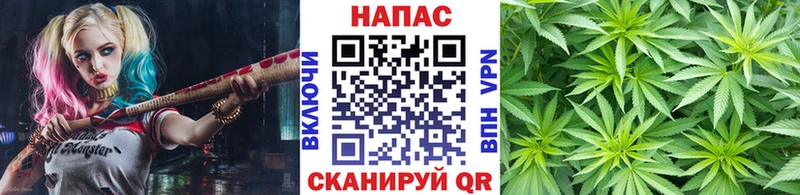 наркошоп  Козловка  hydra как войти  Канабис план 